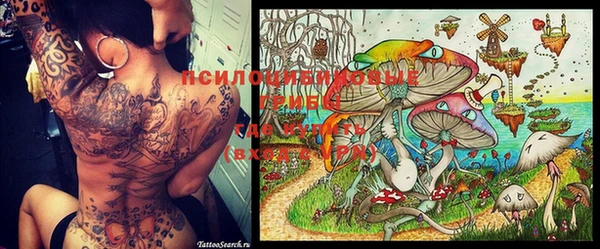 твердый Заволжск