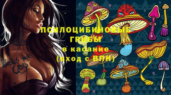 твердый Заволжск