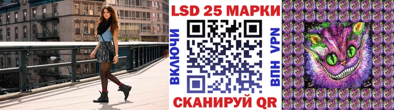 Купить закладки  Долгопрудный  Наркотические марки 1,8мг 