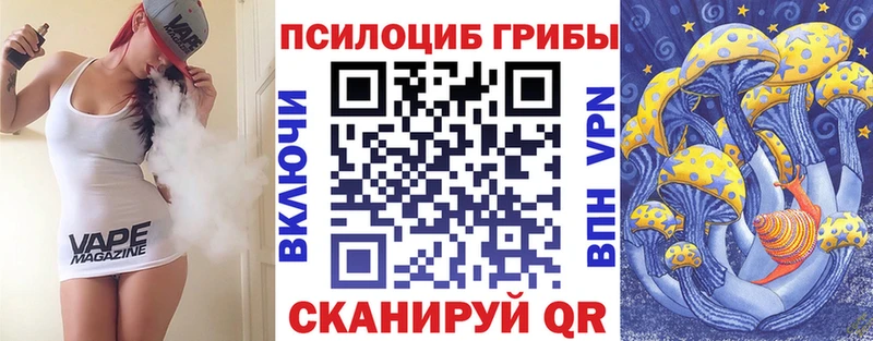 Галлюциногенные грибы MAGIC MUSHROOMS  Купить закладки  Долгопрудный 